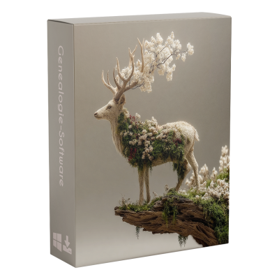 Weihnachtspaket – Windows-Upgrade